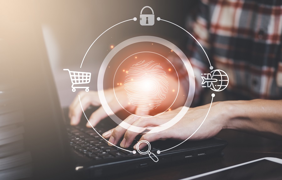 Understanding the US Anticybersquatting Consumer Protection Act ACPA Domain Names Trademark Law Summary